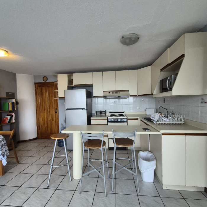 Renta apartamento amplio de 1 habitación en zona 15 VH2 - Image 4