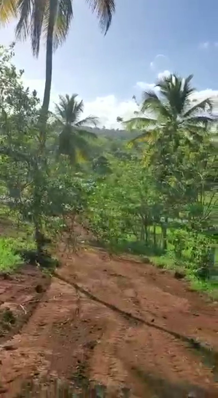 Terreno Residencial en Venta en Las Galeras, Samaná - 2