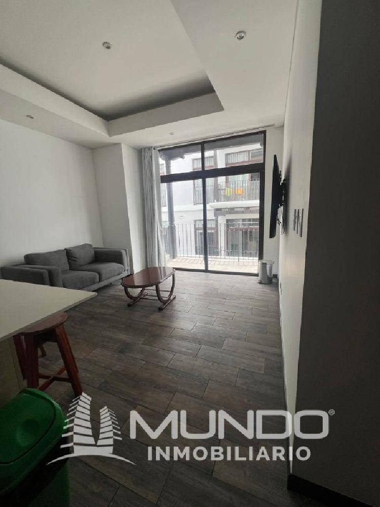 APARTAMENTO AMOBLADO EN RENTA EN LIRIOS DE CAYALA I — foto 10