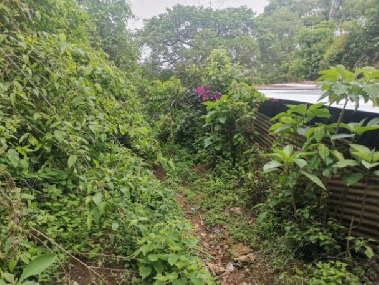 TERRENO EN VENTA EN KM 21.5 EN MIXCO — foto 5