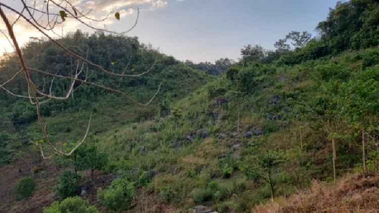 PARCELA EN VENTA EN CHISEC, ALTA VERAPAZ - 2