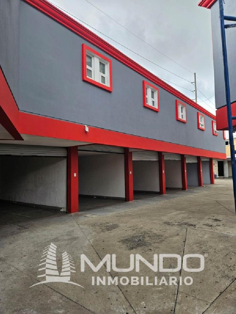 OFIBODEGAS EN RENTA EN CALZADA ROOSEVELT — foto 3