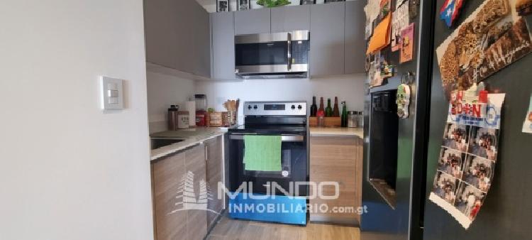 APARTAMENTO AMOBLADO EN RENTA ZONA 10/MI