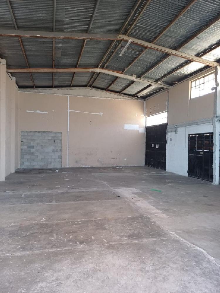 OFIBODEGA EN RENTA ZONA 12/MUNDO INMOBILIARIO - 7
