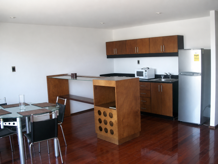 Alquiler lindo Apartamento amueblado zona 13 Americas - 1