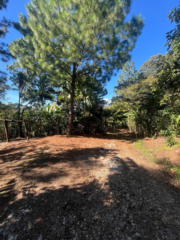 Finca en Venta en Fraijanes, Guatemala | Km 16-30 - Miniatura 6