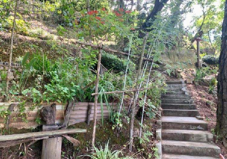 Terreno en Venta en El Hato