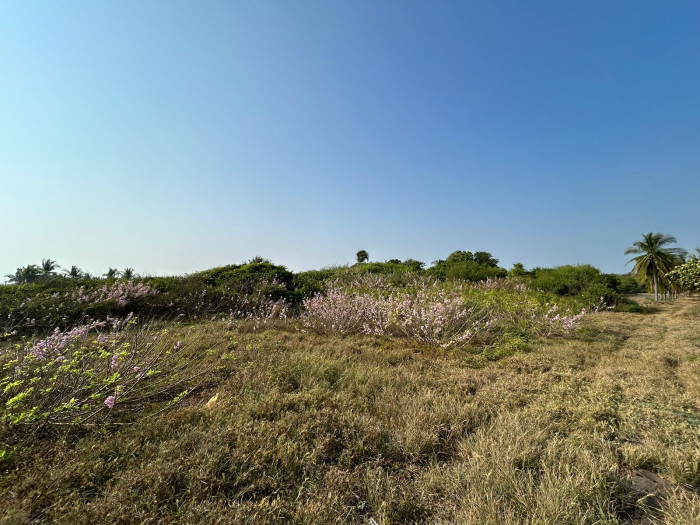 TERRENO GRANDE EN VENTA EN IZTAPA PARA DESARROLLO - 10