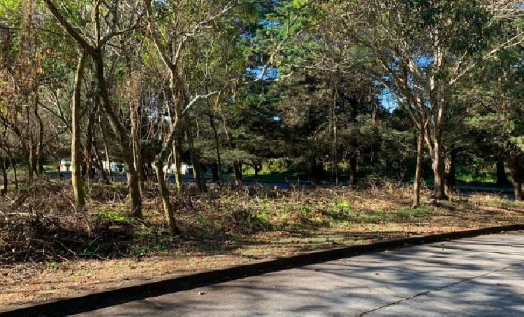 TERRENO EN VENTA EN CASA Y CAMPO, KM 23.5 CAES