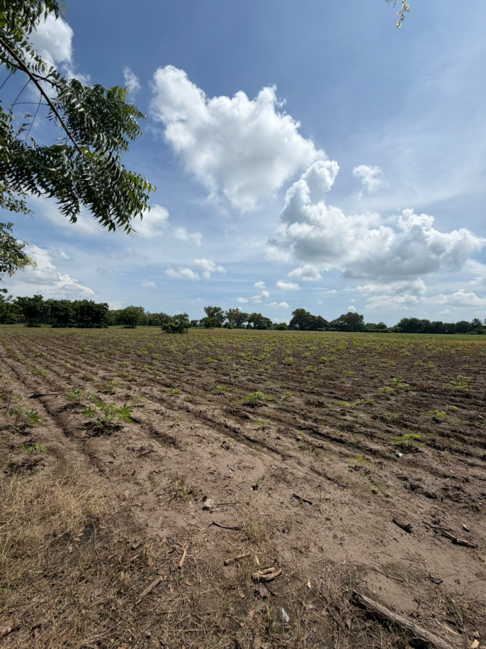 Terreno en alquiler en San Luis La Herradura - 1
