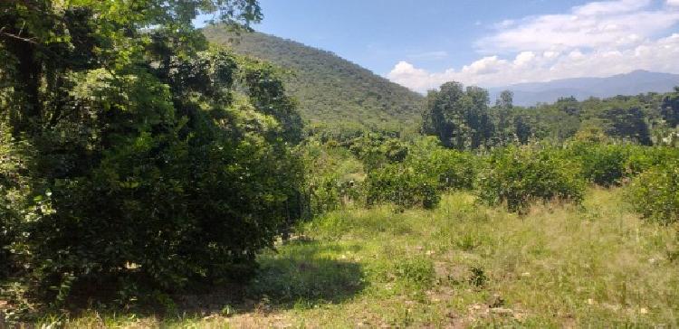 FINCA EN VENTA EN EL PROGRESO - 4