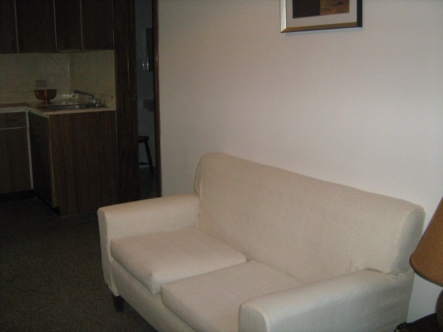 APARTAMENTO EN RENTA, ZONA 10 — foto 2
