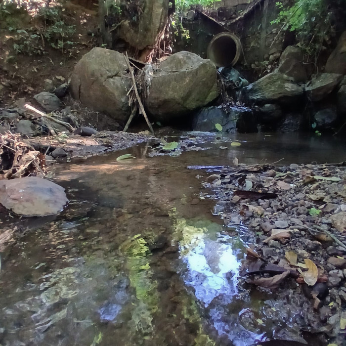 Finca en Venta en Fraijanes, Guatemala | Km 16-30 - Miniatura 4