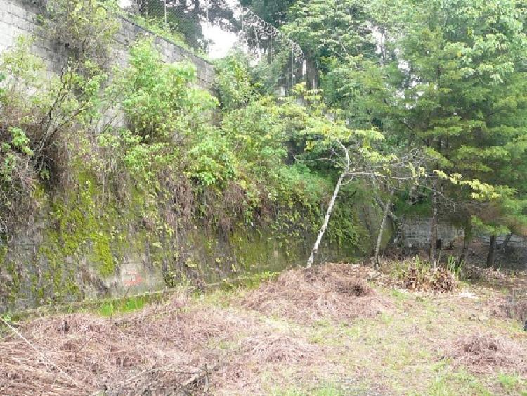 TERRENO EN VENTA EN SAN RAFAEL II — foto 3