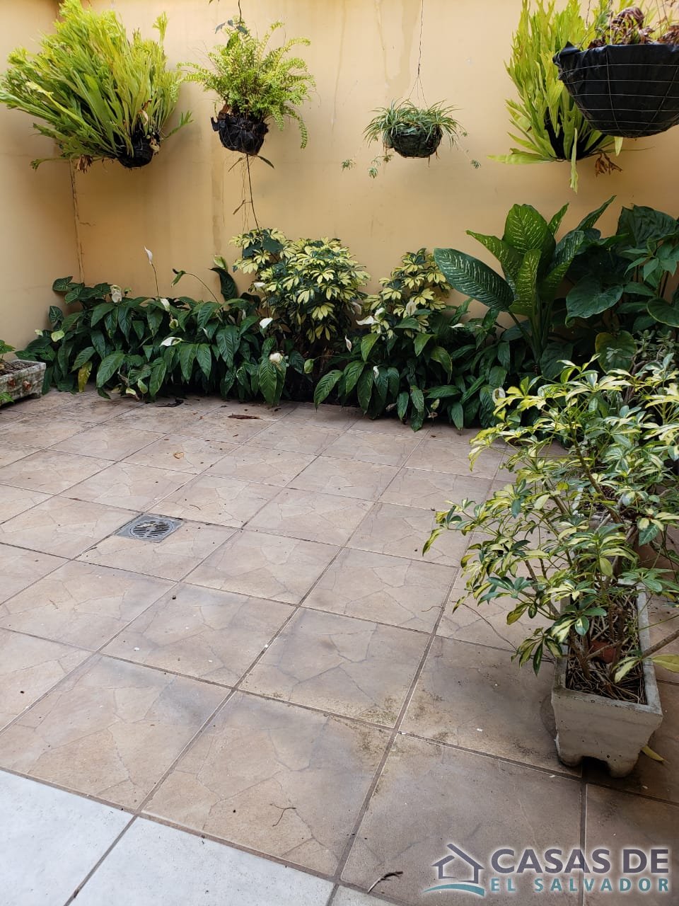 Merliot Privado, zona centrica, amplios espacios - 9