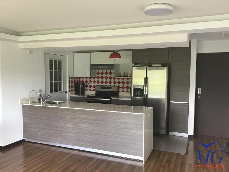 VENDO APARTAMENTO EN ZONA 11, PARQUE 11