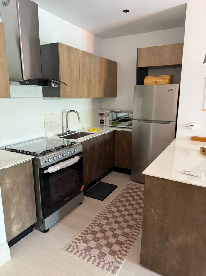 APARTAMENTO AMUEBLABO DE UNA HABITACION EN PIANTINI - 8