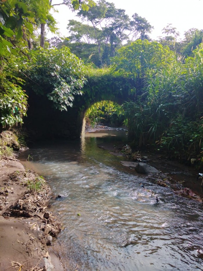 HACIENDA EN MUNICIPIO DE COATEPEQUE, SANTA ANA - 3
