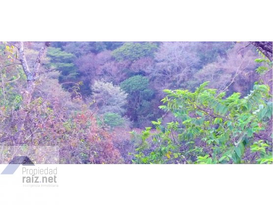 "Terreno Antigua, San Pedro La Huertas/D" — foto 9