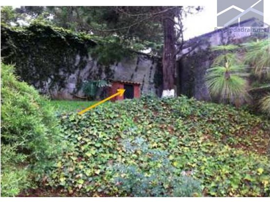 "#Terreno/Casa Km 16 CES Condado Concepción/D" — foto 12