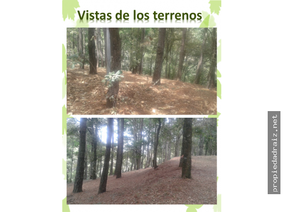 Terrenos Labor de Castilla Carr Inter/D - 4
