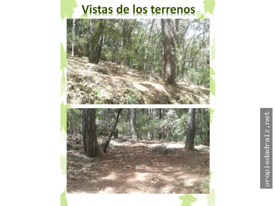 Terrenos Labor de Castilla Carr Inter/D - 5