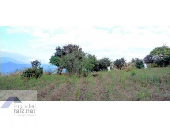 "Terreno Antigua, San Pedro La Huertas/D" — foto 3