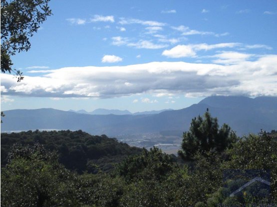 "#Terreno En San Lucas Choacorral/D"