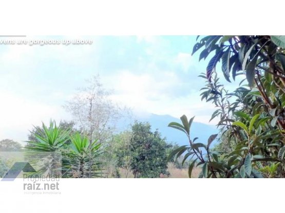 "Terreno Antigua, San Pedro La Huertas/D" — foto 10