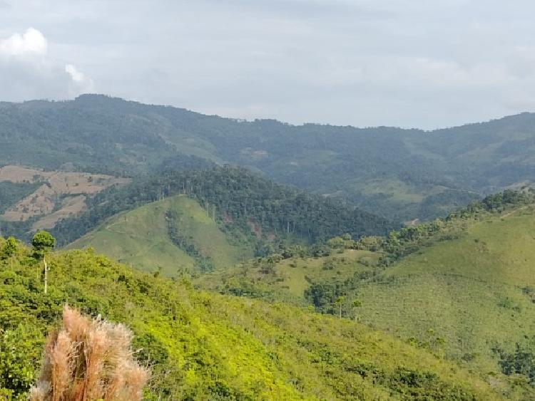 Vendo Finca de 120mnz en Puerto Barrios, Izabal Ref-229 - 15