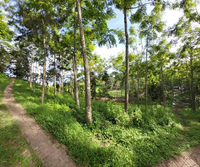 Finca en venta en San Jose Pinula camino a Monte Cristo — foto 15