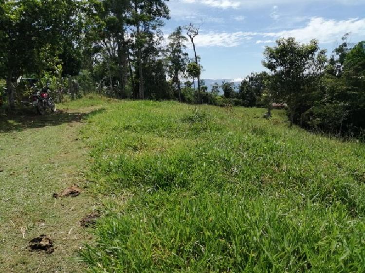 Vendo Finca de 120mnz en Puerto Barrios, Izabal Ref-229 - 12