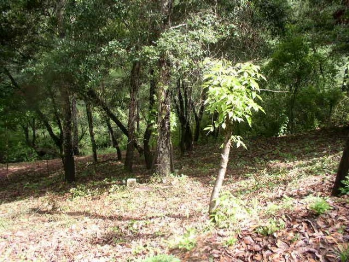 Terreno Hacienda Quinta las Flores, S. Juan Sac. - 5