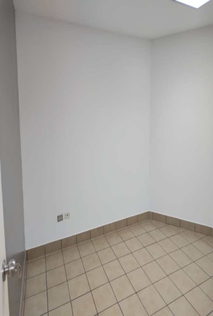 Plus Real Estate renta oficina en zona 14 — foto 6