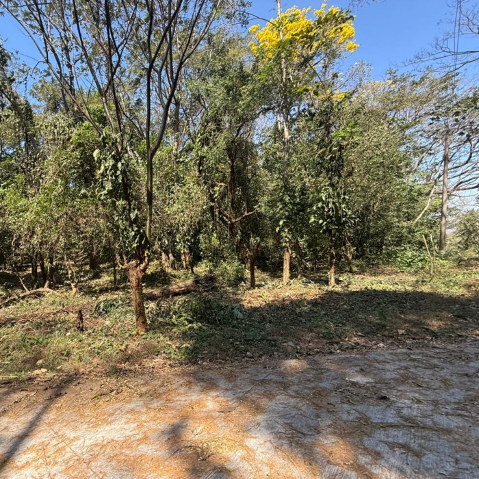Lote en Venta RioSul, Escuintla, Guatemala - Image 5