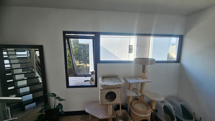 RENTA CASA RESIDENCIAL CANTORIA, ZONA 7 MIXCO — foto 9