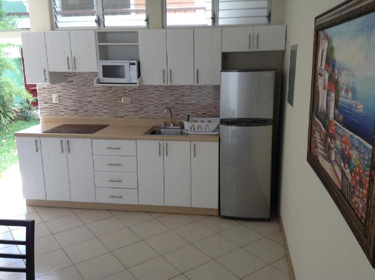 APARTAMENTO EN RENTA, ZONA 10