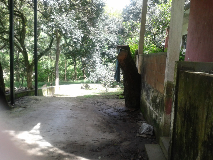 En venta terreno en zona 15 Colonia Trinidad - Miniatura 9