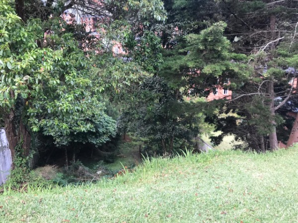 TERRENO EN VENTA EN BOSQUES DE LAS LUCES/MI — foto 3