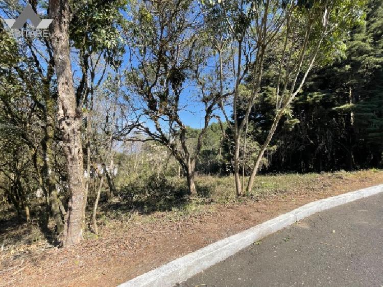 Terreno en venta — foto 5