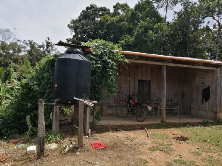 Vendo Finca de 120mnz en Puerto Barrios, Izabal Ref-229 - 3