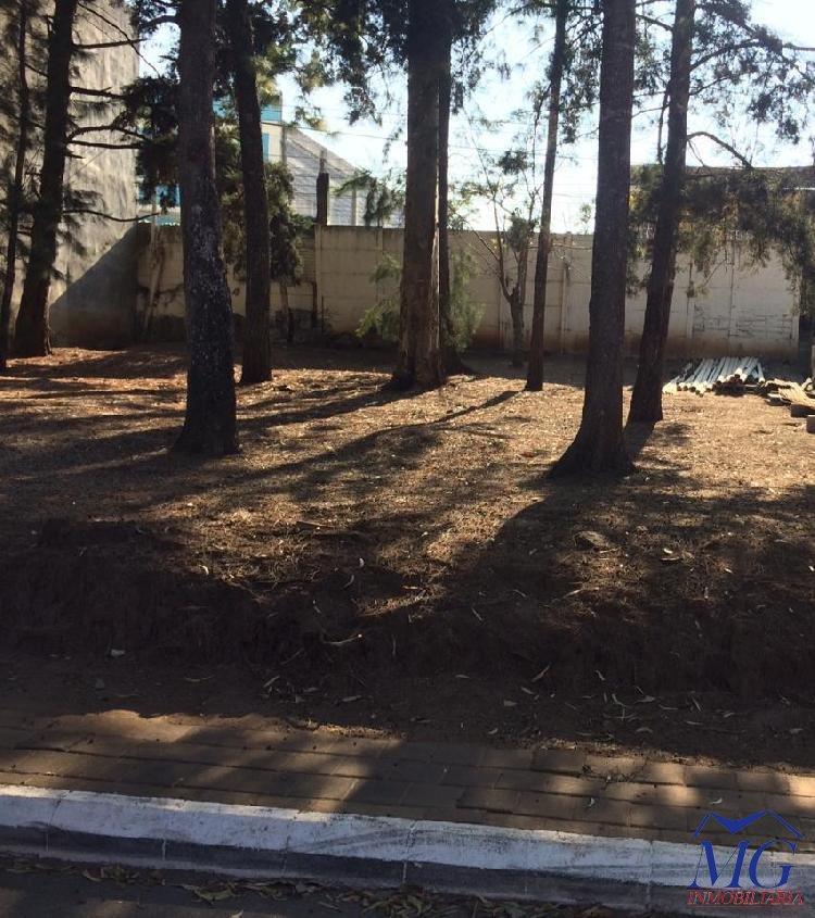 TERRENO EN VENTA DENTRO DE LOMAS DEL NORTE ZONA 17