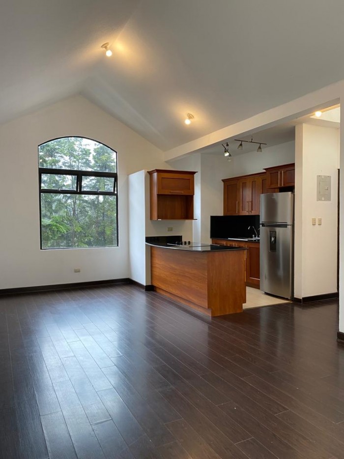 Apartamento Venta o Renta en Carretera El Salvador - Image 1