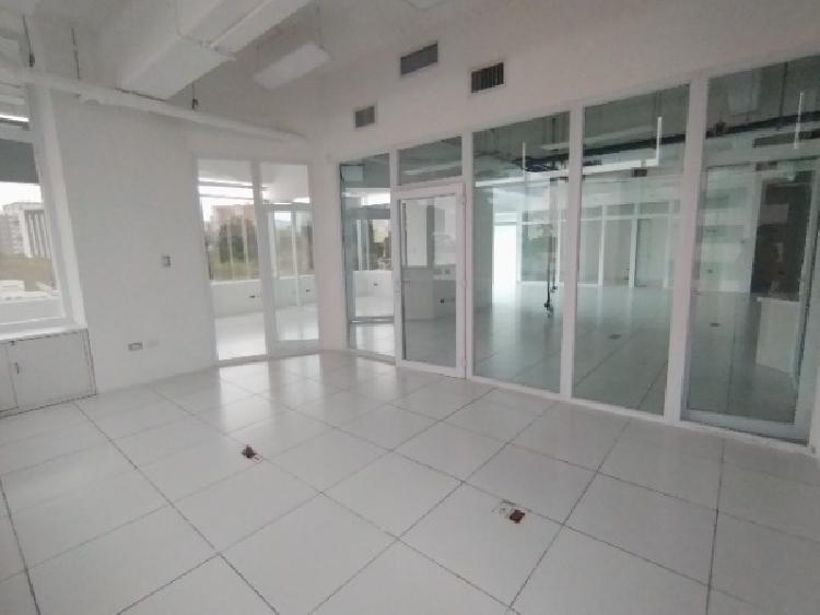 Oficina en renta en Zona 10 / 259m2 — foto 5