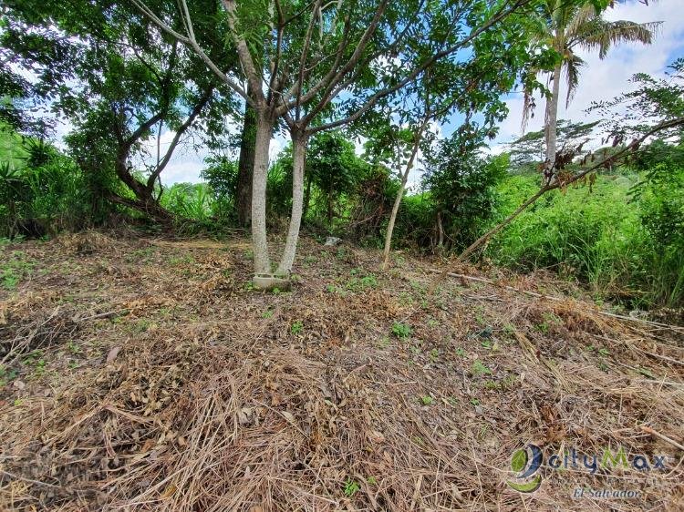 En venta Finca de 50 Mz en zona Santiago Texacuangos - 4