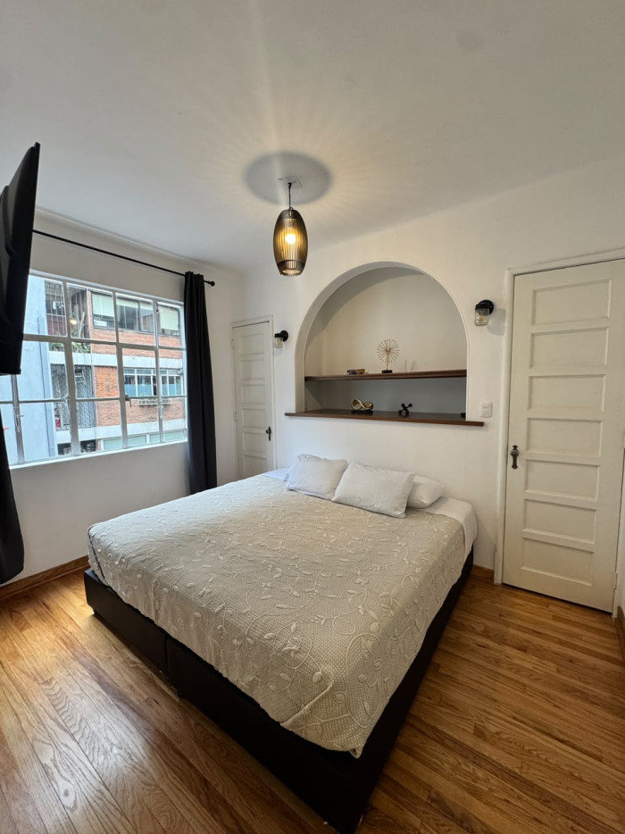 Departamento amueblado en Emilio Castelar en Polanco - 18