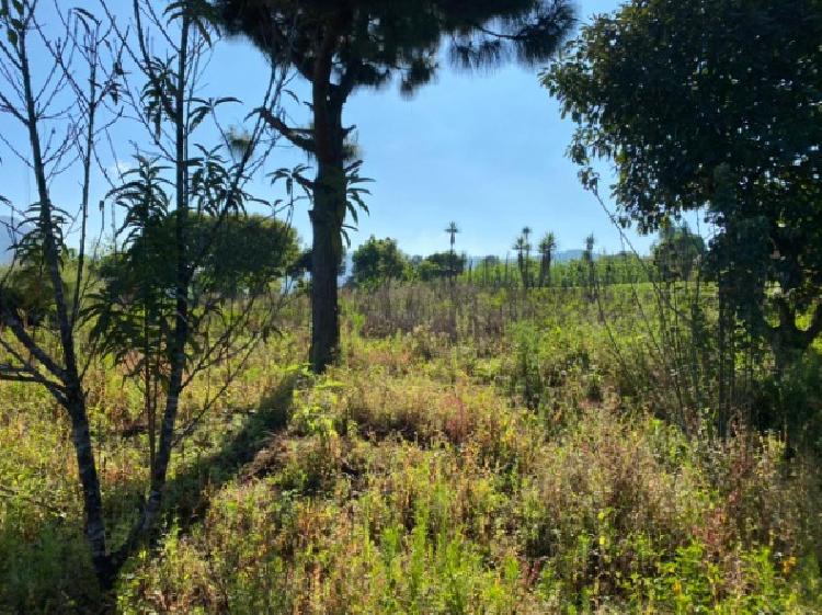 TERRENO RUSTICO EN VENTA EN CHIMALTENANGO - 8