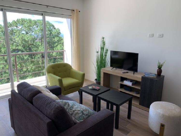APARTAMENTO AMUEBLADO EN RENTA EN ZONA 16 — foto 5