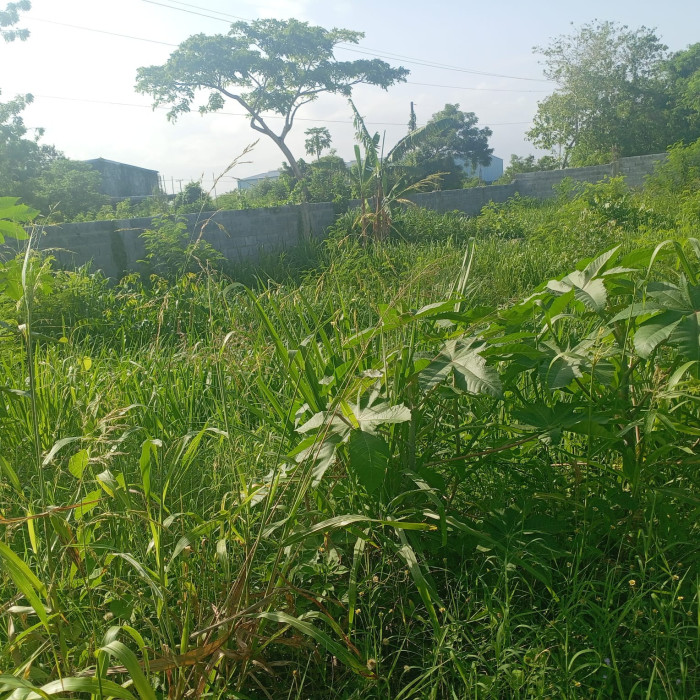 Solar Comercial en Venta – Autopista Las Américas - 3
