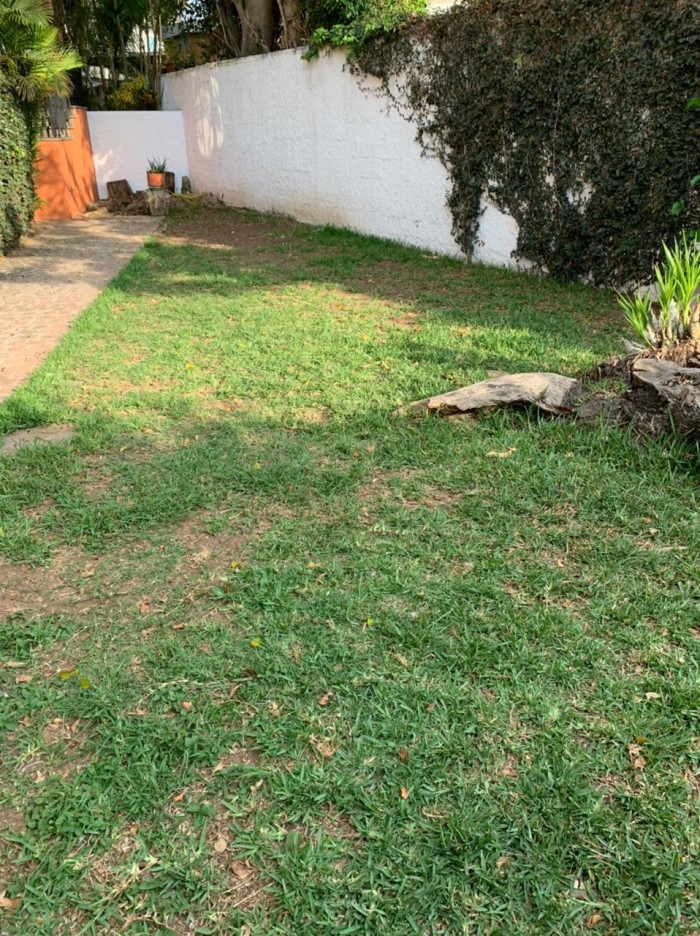 Apartamento en renta zona 15 — foto 5